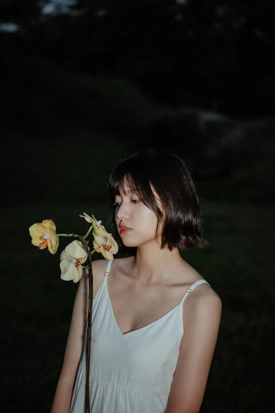 Portrait Series — 17