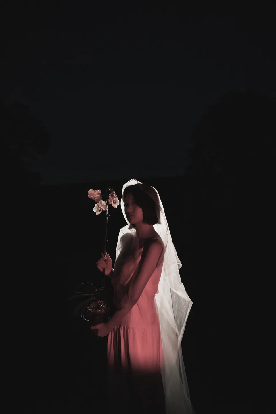 Portrait Series — 22